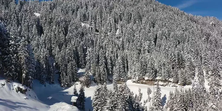 Giresun yaylalarından kartpostallık manzaralar