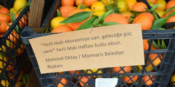 Sokaktan topladılar, öğrencilere dağıttılar