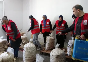 Dezavantajlı kadınlar istiridye mantarı üreterek kazanıyor