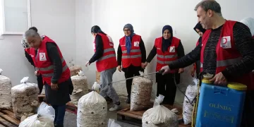 Dezavantajlı kadınlar istiridye mantarı üreterek kazanıyor