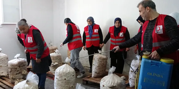 Dezavantajlı kadınlar istiridye mantarı üreterek kazanıyor