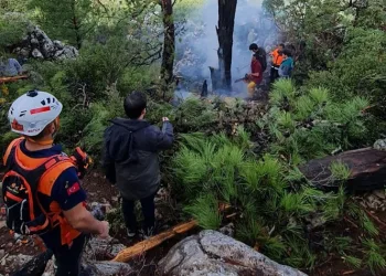 Muğla’da kış ortasında orman yangını
