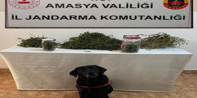 Amasya’da uyuşturucu operasyonu: 2 gözaltı