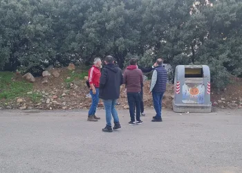 Bodrum’da korkunç manzara