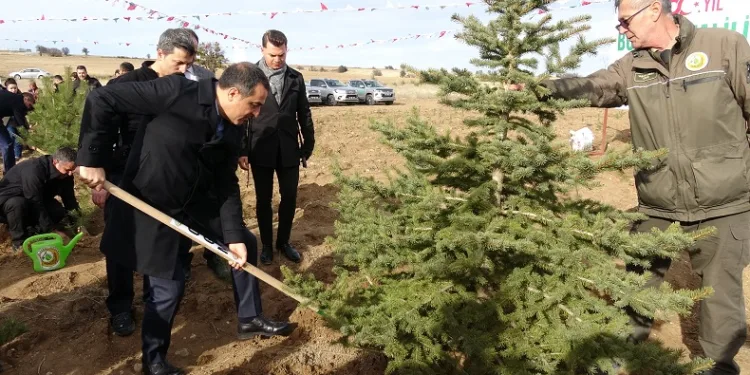 Burdur’da Valilik 100’üncü Yıl Hatıra Ormanı’nda bin fidan toprakla buluştu