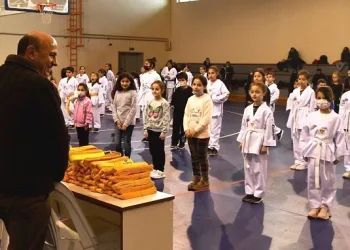 Altınova, teakwondoda da marka