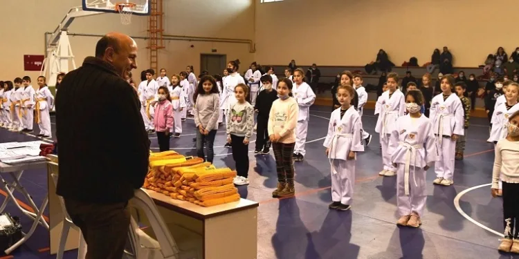 Altınova, teakwondoda da marka
