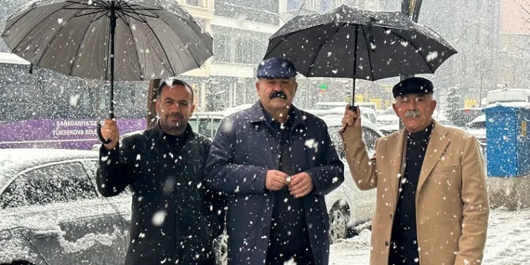 Yüksekova’da lapa lapa kar yağışı