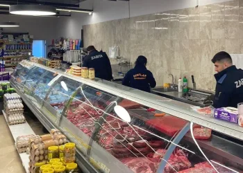 Altınova’da kasaplara denetim