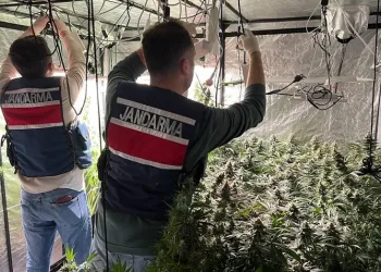 Yalova’da evini uyuşturucu serasına çeviren şahıs gözaltına alındı