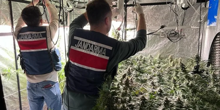 Yalova’da evini uyuşturucu serasına çeviren şahıs gözaltına alındı