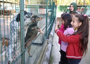 Marmaris’te patili dostlara yeni yıl ziyareti