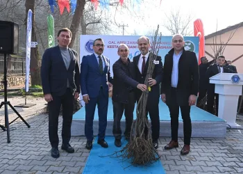Bursa Büyükşehir’den kestane üretimine destek