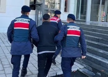 Dolandırıcılık zanlısı yakalandı