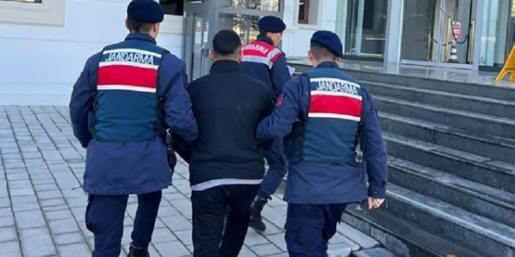 Dolandırıcılık zanlısı yakalandı