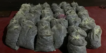İstanbul’da 1 buçuk ton kaçak midye ele geçirildi