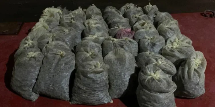 İstanbul’da 1 buçuk ton kaçak midye ele geçirildi