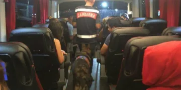 Uyuşturucu ile seyahate narkotik köpeği engeli