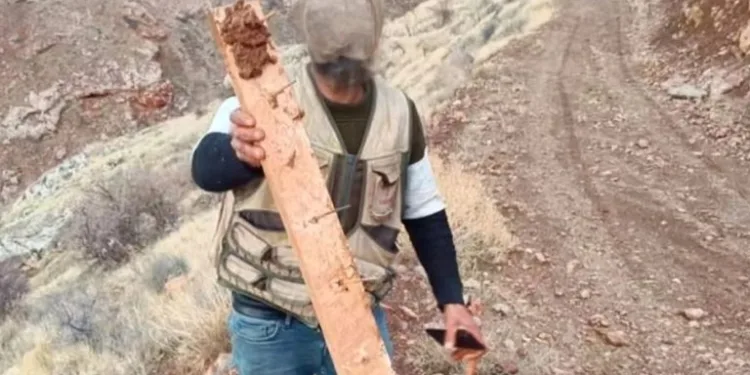Çivili kapan nedeniyle 3 aracın lastiği patladı