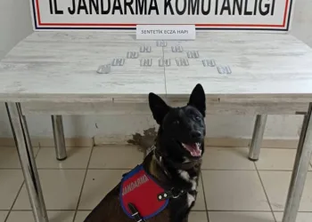 Ağrı’da yolcu otobüsünde uyuşturucu operasyonu