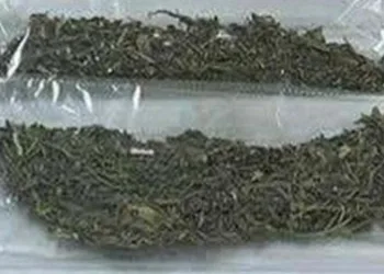Uyuşturucu madde etkisinde araç kullanırken jandarmaya yakalandı