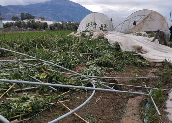 Hatay’da çıkan hortum seraları yerle bir etti