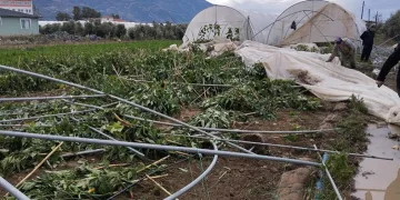 Hatay’da çıkan hortum seraları yerle bir etti