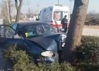 Ağaca çarptı, hastanelik oldu