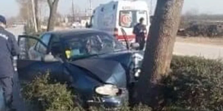 Ağaca çarptı, hastanelik oldu