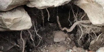 Hatay’da obruklardan sıvı çıktı