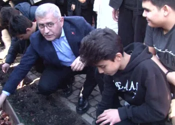 Baharı müjdeleyecek olan laleler dikildi