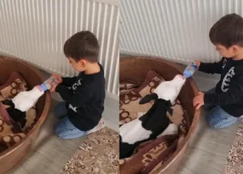 Bu görüntüler yürek ısıttı