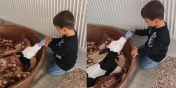 Bu görüntüler yürek ısıttı