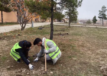 Emet MYO’da fidan dikim etkinliği