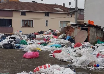 Çöp ev operasyonu: 3 kamyon çöp çıkarıldı