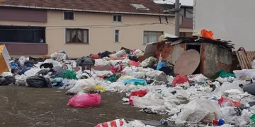 Çöp ev operasyonu: 3 kamyon çöp çıkarıldı