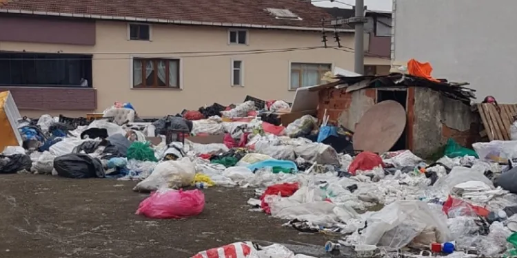 Çöp ev operasyonu: 3 kamyon çöp çıkarıldı