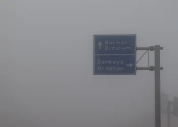 Oltu’da yoğun sis etkili oluyor