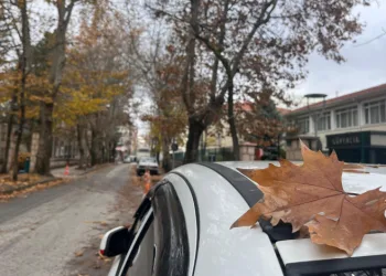 Sonbahar manzarası mest etti