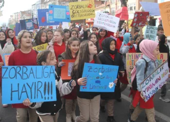 Akran zorbalığına dikkat çektiler