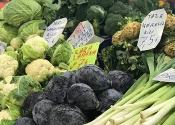 Gripten korunmanın yolları
