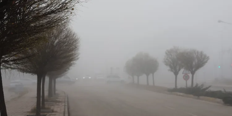Elazığ’da sis etkili oldu