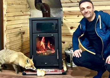 Gümüşhane’de sıra dışı misafirlik