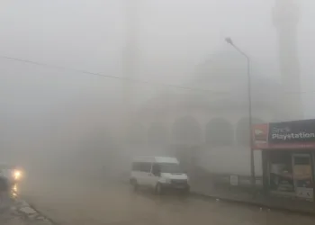 Sincik ilçesinde yoğun sis etkili oldu