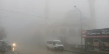 Sincik ilçesinde yoğun sis etkili oldu