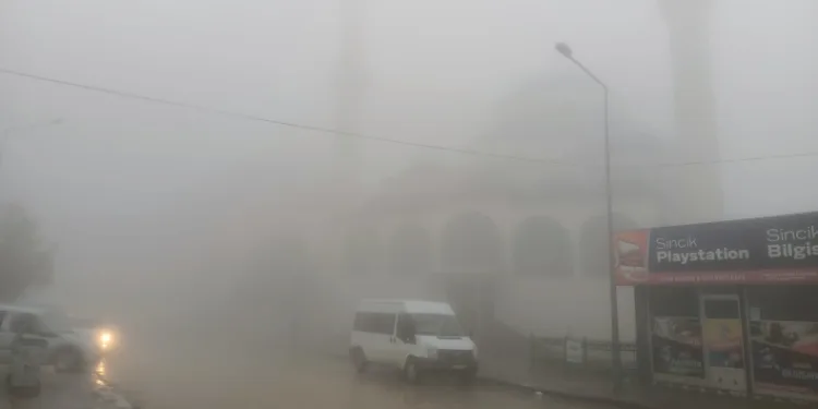 Sincik ilçesinde yoğun sis etkili oldu