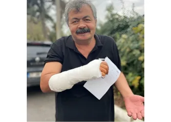 Kedilerin kavgasını ayırırken arada kaynadı