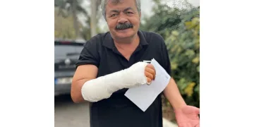 Kedilerin kavgasını ayırırken arada kaynadı
