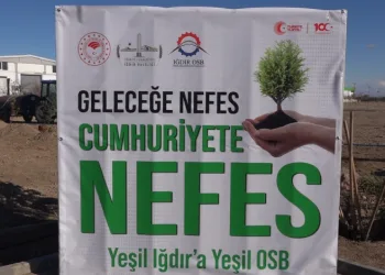Iğdır’da ağaçlandırma seferberliği