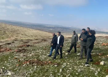 Kaymakam Partal dikilen fidanları inceledi